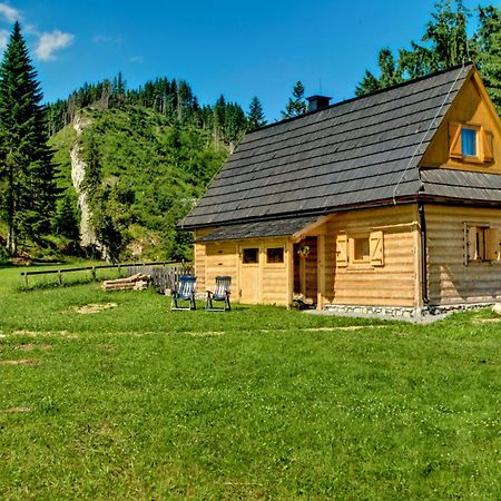 Jedroskowe Chatki Witów エクステリア 写真