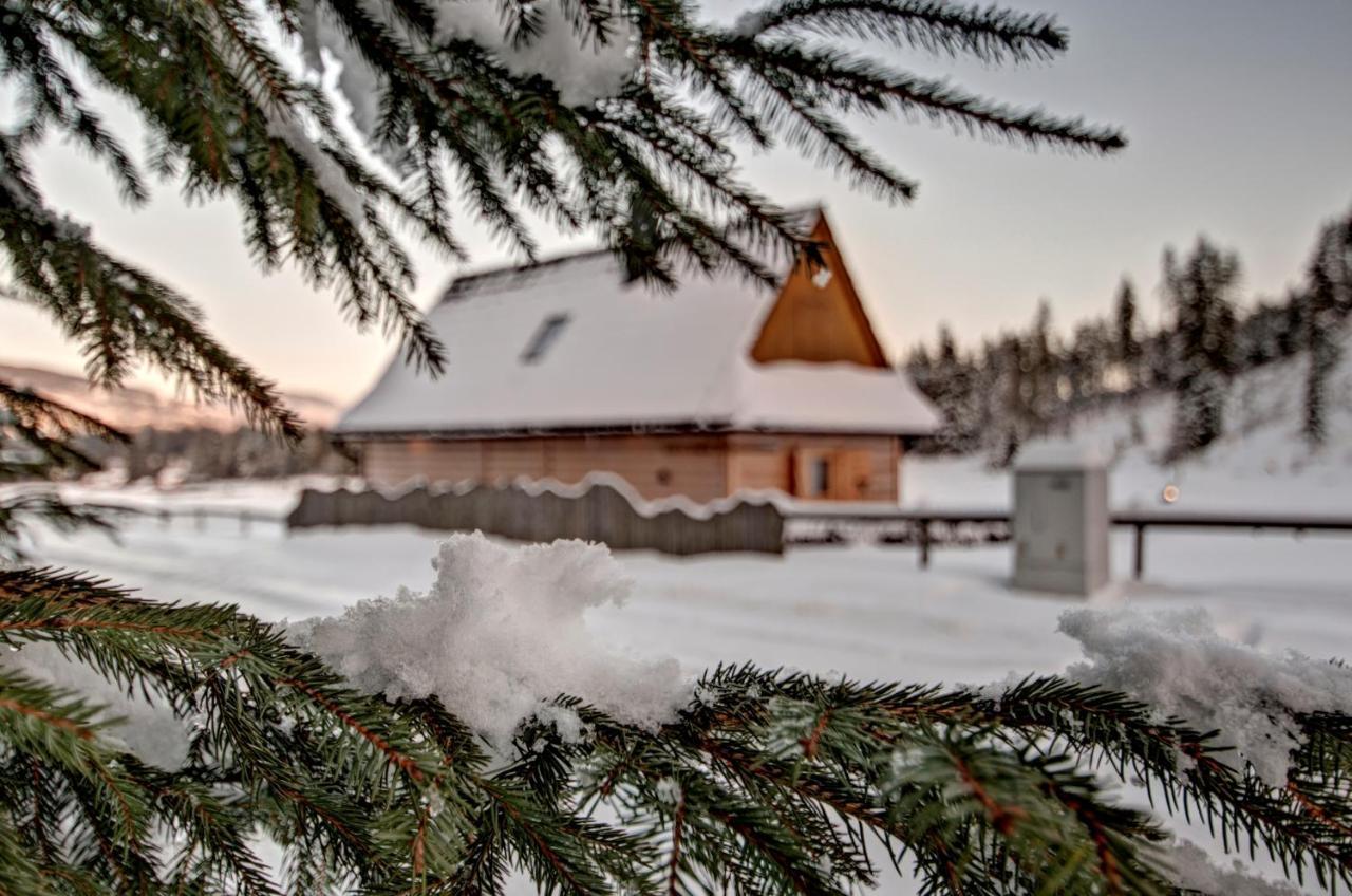 Jedroskowe Chatki Witów エクステリア 写真