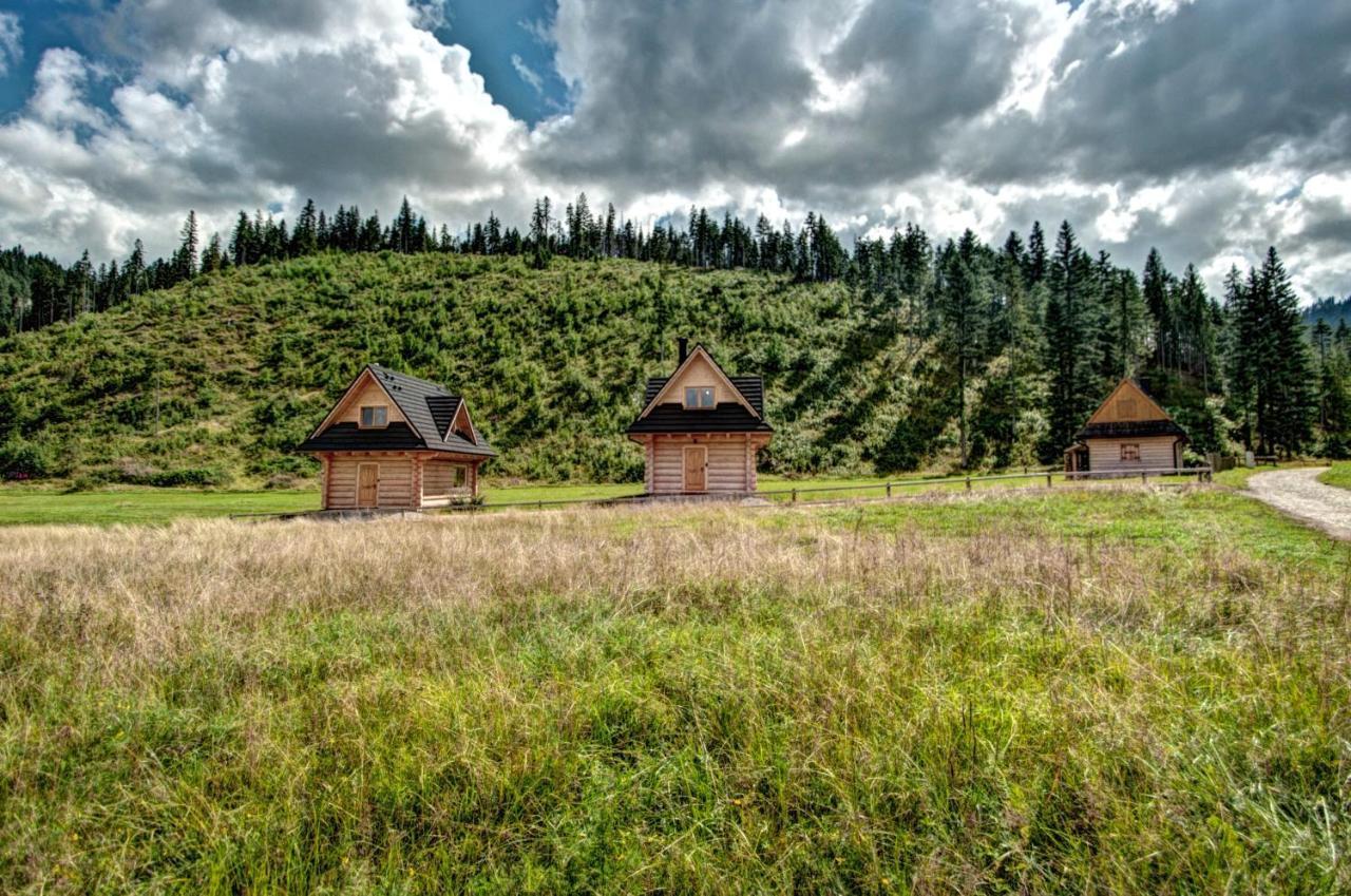 Jedroskowe Chatki Witów エクステリア 写真
