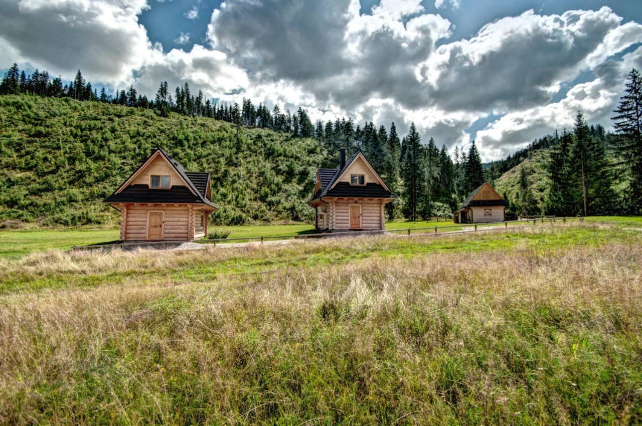 Jedroskowe Chatki Witów エクステリア 写真